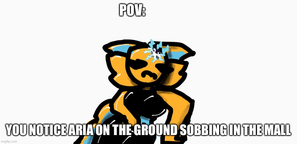 POV:; YOU NOTICE ARIA ON THE GROUND SOBBING IN THE MALL | made w/ Imgflip meme maker