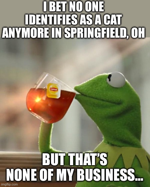 But That's None Of My Business | I BET NO ONE IDENTIFIES AS A CAT ANYMORE IN SPRINGFIELD, OH; BUT THAT’S NONE OF MY BUSINESS… | image tagged in memes,but that's none of my business,kermit the frog | made w/ Imgflip meme maker