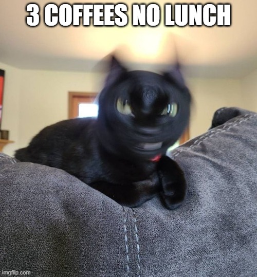 Mr Katz Blur Meme | 3 COFFEES NO LUNCH | image tagged in mr katz blur meme | made w/ Imgflip meme maker