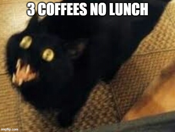 Black cat yellow eyes blurred | 3 COFFEES NO LUNCH | image tagged in black cat yellow eyes blurred | made w/ Imgflip meme maker