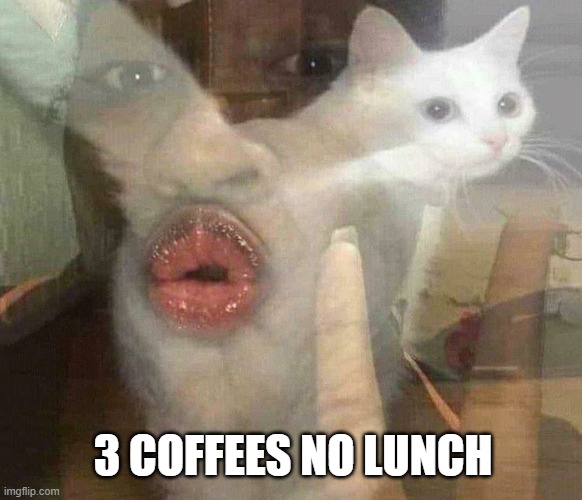 Blursed image cat's rear and person's lips | 3 COFFEES NO LUNCH | image tagged in blursed image cat's rear and person's lips | made w/ Imgflip meme maker