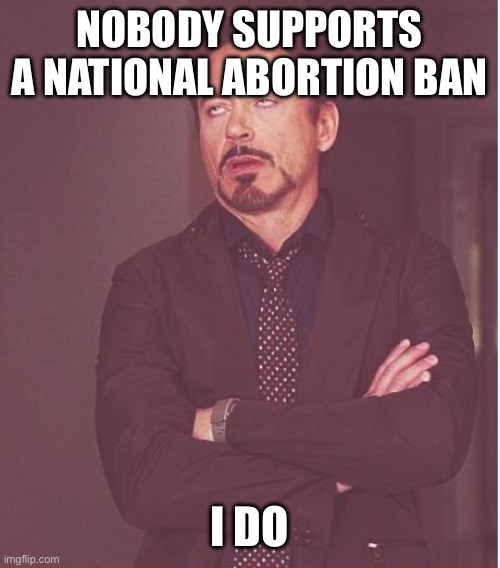 Face You Make Robert Downey Jr Meme | NOBODY SUPPORTS A NATIONAL ABORTION BAN I DO | image tagged in memes,face you make robert downey jr | made w/ Imgflip meme maker