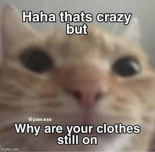made w/ Imgflip meme maker