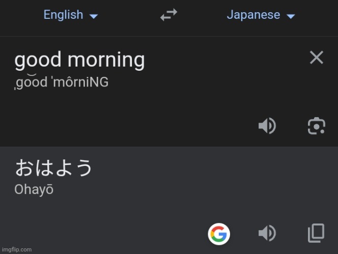 image tagged in google translate,brainrot,ohio | made w/ Imgflip meme maker