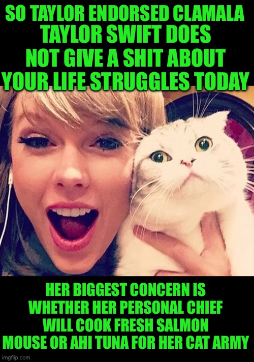 yep | SO TAYLOR ENDORSED CLAMALA; TAYLOR SWIFT DOES NOT GIVE A SHIT ABOUT YOUR LIFE STRUGGLES TODAY; HER BIGGEST CONCERN IS WHETHER HER PERSONAL CHIEF WILL COOK FRESH SALMON MOUSE OR AHI TUNA FOR HER CAT ARMY | image tagged in kamala harris | made w/ Imgflip meme maker