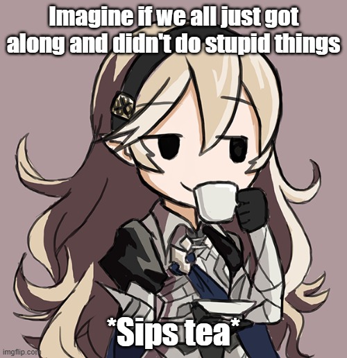 Corrin Being Smug While Drinking Tea | Imagine if we all just got along and didn't do stupid things; *Sips tea* | image tagged in corrin being smug while drinking tea | made w/ Imgflip meme maker