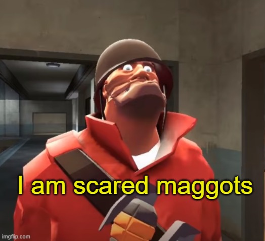 I am scared you maggots | I am scared maggots | image tagged in i am scared you maggots | made w/ Imgflip meme maker