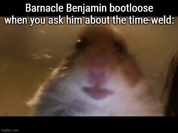 Hamster looking at camera | Barnacle Benjamin bootloose when you ask him about the time-weld: | image tagged in hamster looking at camera | made w/ Imgflip meme maker