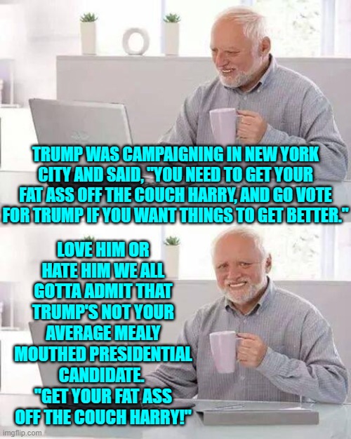 Trumps a change from the standard politician.  You gotta give the man that much. | TRUMP WAS CAMPAIGNING IN NEW YORK CITY AND SAID, "YOU NEED TO GET YOUR FAT ASS OFF THE COUCH HARRY, AND GO VOTE FOR TRUMP IF YOU WANT THINGS TO GET BETTER."; LOVE HIM OR HATE HIM WE ALL GOTTA ADMIT THAT TRUMP'S NOT YOUR AVERAGE MEALY MOUTHED PRESIDENTIAL CANDIDATE.  "GET YOUR FAT ASS OFF THE COUCH HARRY!" | image tagged in hide the pain harold | made w/ Imgflip meme maker