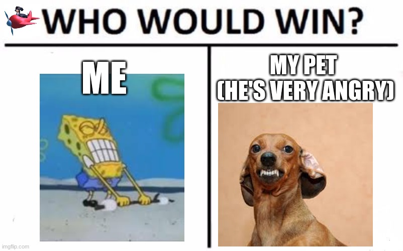 stupid memes that don't make sense | ME; MY PET  (HE'S VERY ANGRY) | image tagged in memes,funny,stupid,dog,spongbob,spongebob | made w/ Imgflip meme maker