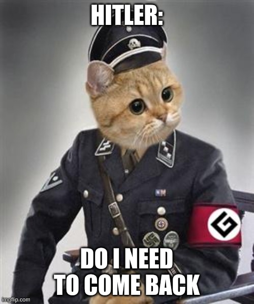 HITLER: DO I NEED TO COME BACK | image tagged in grammar nazi cat | made w/ Imgflip meme maker