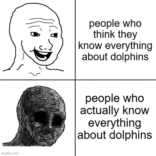 uh ohh (NO this isn't related to that symphony meme ?) | people who think they know everything about dolphins; people who actually know everything about dolphins | image tagged in happy wojak vs depressed wojak | made w/ Imgflip meme maker