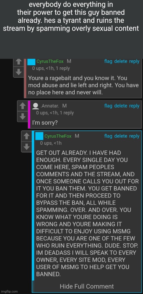 everybody do everything in their power to get this guy banned already. hes a tyrant and ruins the stream by spamming overly sexual content | made w/ Imgflip meme maker