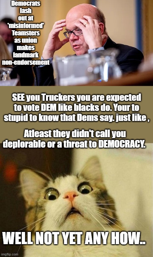 BAD TRUCKERS ,shame on you for thinking for yourselves.. shame on you Shame | Democrats lash out at 'misinformed' Teamsters as union makes landmark non-endorsement; SEE you Truckers you are expected to vote DEM like blacks do. Your to stupid to know that Dems say. just like , Atleast they didn't call you deplorable or a threat to DEMOCRACY. WELL NOT YET ANY HOW.. | image tagged in memes,scared cat | made w/ Imgflip meme maker