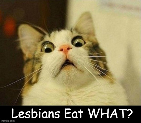 Purrfect reaction? | Lesbians Eat WHAT? | image tagged in memes,scared cat,funny,cat,reaction,lesbians | made w/ Imgflip meme maker