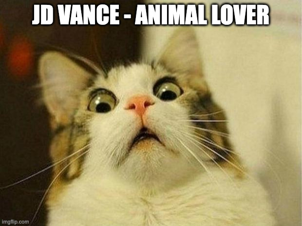 Scared Cat Meme | JD VANCE - ANIMAL LOVER | image tagged in memes,scared cat | made w/ Imgflip meme maker