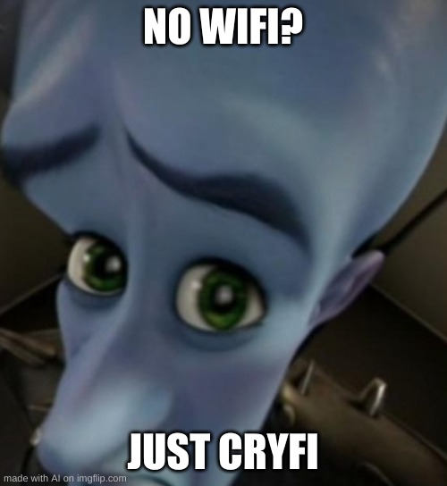 No WiFi? | NO WIFI? JUST CRYFI | image tagged in megamind no bitches | made w/ Imgflip meme maker