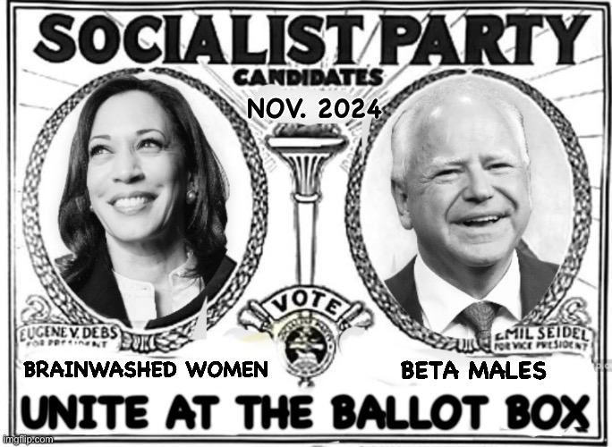 Unite at the ballot box | NOV. 2024; BRAINWASHED WOMEN; UNITE AT THE BALLOT BOX; BETA MALES | image tagged in socialism,kamala harris,tim walz | made w/ Imgflip meme maker