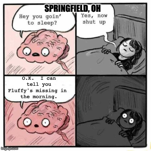 Meanwhile, in | SPRINGFIELD, OH; O.K.  I can tell you Fluffy's missing in 
the morning. | image tagged in hey you going to sleep | made w/ Imgflip meme maker