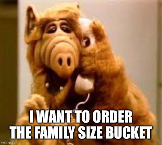 alf | I WANT TO ORDER THE FAMILY SIZE BUCKET | image tagged in alf | made w/ Imgflip meme maker