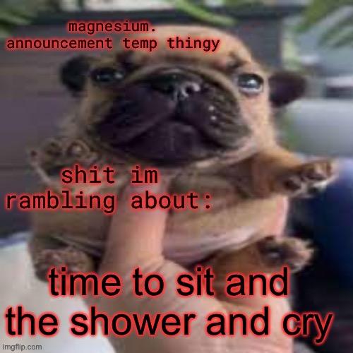 literally the only time I ever fucking have privacy | time to sit and the shower and cry | image tagged in pug temp | made w/ Imgflip meme maker
