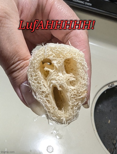 How I feel when I have to do the dishes. | LufAHHHHH! | image tagged in lufahhhhh | made w/ Imgflip meme maker