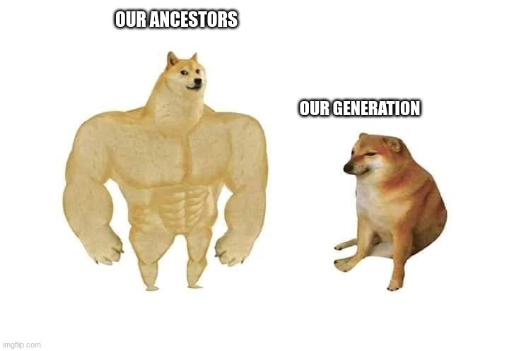 Us and Ancestors | OUR ANCESTORS; OUR GENERATION | image tagged in doge then and now | made w/ Imgflip meme maker