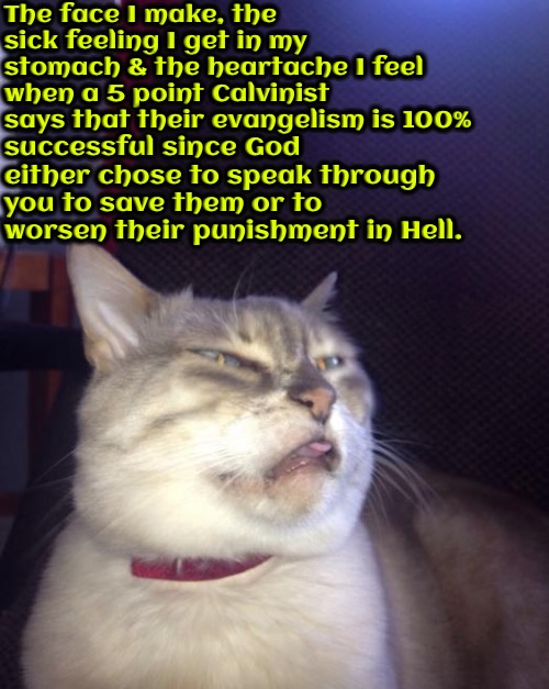 Are You Kidding Me | The face I make, the sick feeling I get in my stomach & the heartache I feel when a 5 point Calvinist says that their evangelism is 100%; successful since God either chose to speak through you to save them or to worsen their punishment in Hell. | image tagged in calvinism,arminian,molinist,evangelism,why would you want to do that,callous ghouls | made w/ Imgflip meme maker