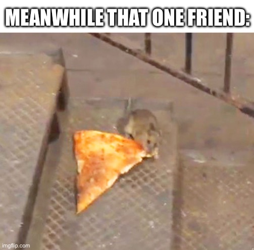 pizza rat | MEANWHILE THAT ONE FRIEND: | image tagged in pizza rat | made w/ Imgflip meme maker