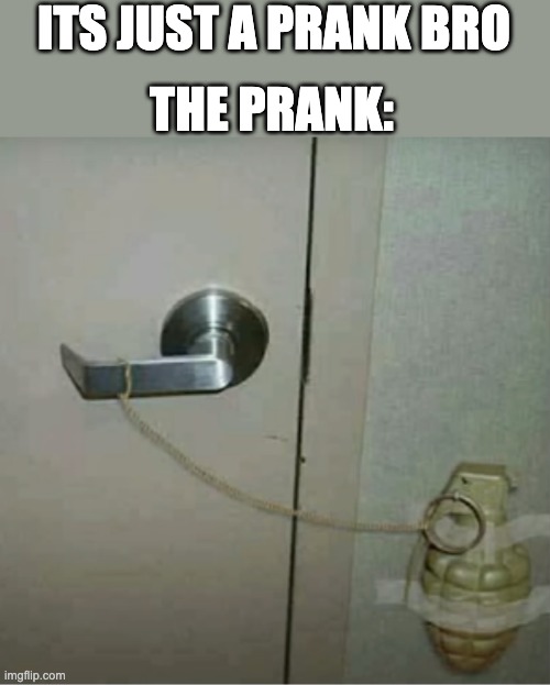 what? It was just a prank... | THE PRANK:; ITS JUST A PRANK BRO | image tagged in grenade,prank,its just a prank bro | made w/ Imgflip meme maker