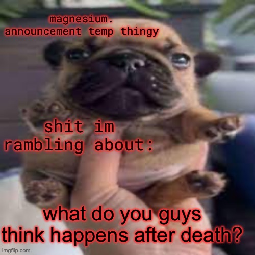 pug temp | what do you guys think happens after death? | image tagged in pug temp | made w/ Imgflip meme maker