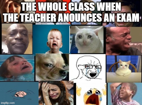 like and sub to xxmemegamerxx to support me on youtube!!! | THE WHOLE CLASS WHEN THE TEACHER ANOUNCES AN EXAM | image tagged in the whole squad crying | made w/ Imgflip meme maker