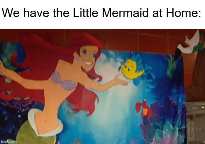 We Have The Little Mermaid At Home. | We have the Little Mermaid at Home: | image tagged in funny,meme,memes,funny memes,lol | made w/ Imgflip meme maker