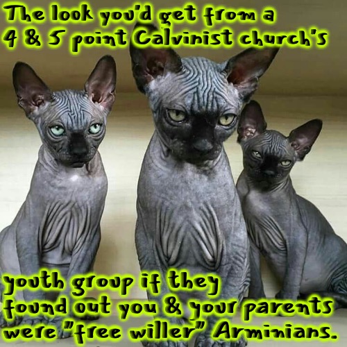 Smug Youth Group | The look you'd get from a 4 & 5 point Calvinist church's; youth group if they found out you & your parents were "free willer" Arminians. | image tagged in calvinism,arminian,molinism,church,smug,reformed theology | made w/ Imgflip meme maker