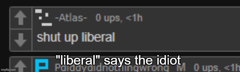 "liberal" says the idiot | made w/ Imgflip meme maker