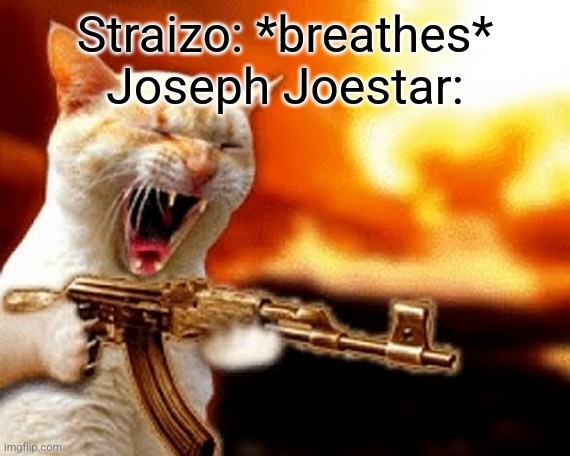 A perfect representation of America | Straizo: *breathes*
Joseph Joestar: | image tagged in machine gun cat,jojo's bizarre adventure,gun | made w/ Imgflip meme maker