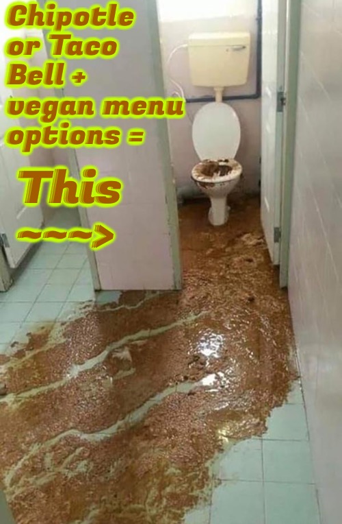 Chipotle, Taco Bell & Vegan | Chipotle or Taco Bell + vegan menu options =; This ~~~> | image tagged in chipotle,funny memes,taco bell,vegan,scary,diarrhea apocalypse | made w/ Imgflip meme maker