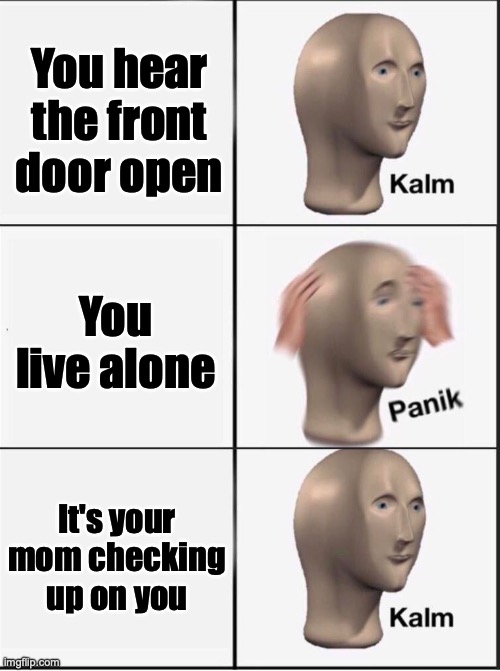 She does love you | You hear the front door open; You live alone; It's your mom checking up on you | image tagged in wholesome,memes,mom,panik kalm panik | made w/ Imgflip meme maker