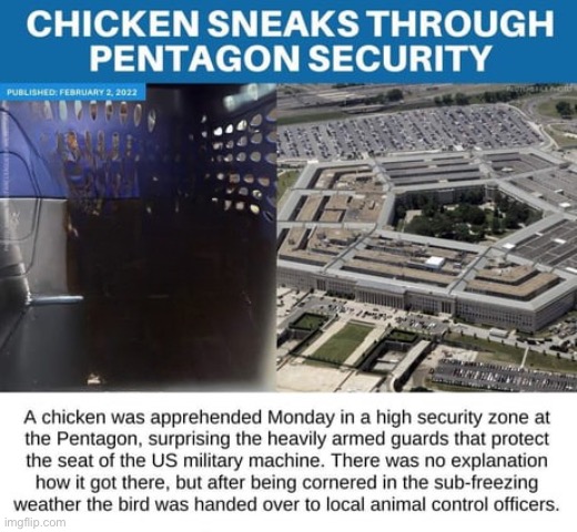 Chicken COOP | image tagged in chicken coop | made w/ Imgflip meme maker