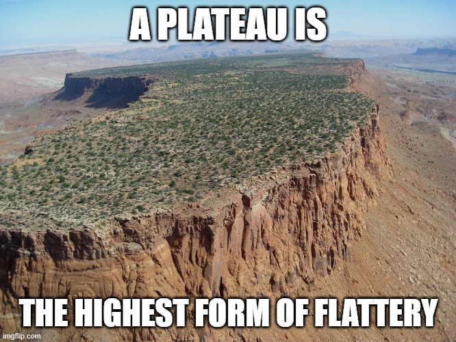 Plateau | A PLATEAU IS; THE HIGHEST FORM OF FLATTERY | image tagged in plateau | made w/ Imgflip meme maker