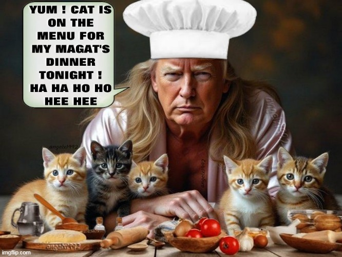 creepy maga weirdos | image tagged in cats,donald trump is an idiot,foodie,clown car republicans,scumbag republicans,weirdo | made w/ Imgflip meme maker