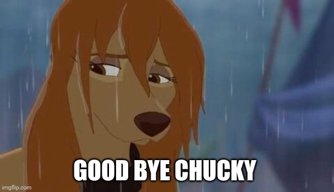 Good Bye Chucky | GOOD BYE CHUCKY | image tagged in dixie sad | made w/ Imgflip meme maker