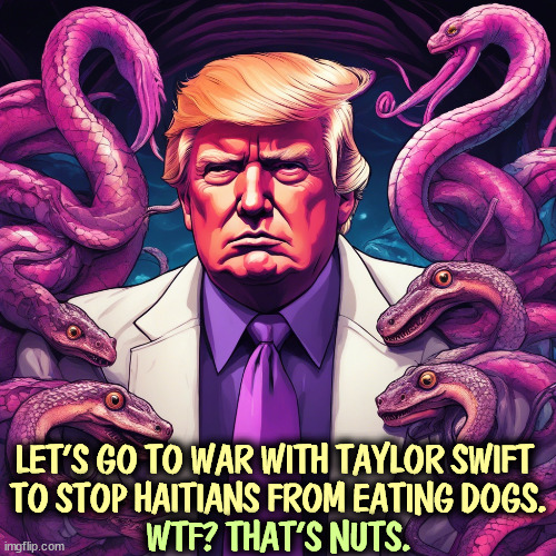 The old man is seeing snakes again. | LET'S GO TO WAR WITH TAYLOR SWIFT 
TO STOP HAITIANS FROM EATING DOGS. WTF? THAT'S NUTS. | image tagged in trump,snakes,nonsense,gibberish,crazy,nuts | made w/ Imgflip meme maker