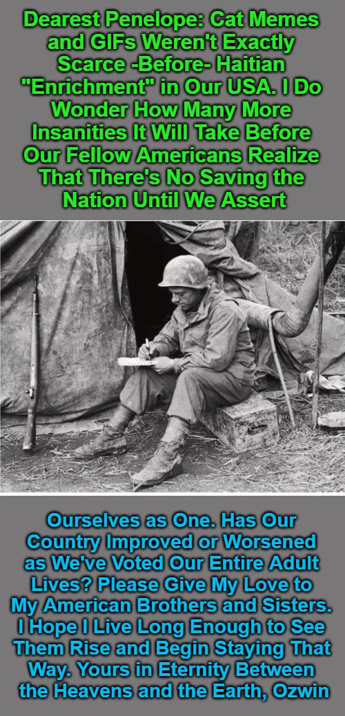 Dearest Penelope, Nation, and Country | Dearest Penelope: Cat Memes 

and GIFs Weren't Exactly 

Scarce -Before- Haitian 

"Enrichment" in Our USA. I Do 

Wonder How Many More 

Insanities It Will Take Before 

Our Fellow Americans Realize 

That There's No Saving the 

Nation Until We Assert; Ourselves as One. Has Our 

Country Improved or Worsened 

as We've Voted Our Entire Adult 

Lives? Please Give My Love to 

My American Brothers and Sisters. 

I Hope I Live Long Enough to See 

Them Rise and Begin Staying That 

Way. Yours in Eternity Between 

the Heavens and the Earth, Ozwin | image tagged in cats,memes,gifs,immigration,to save a nation,invasion usa | made w/ Imgflip meme maker