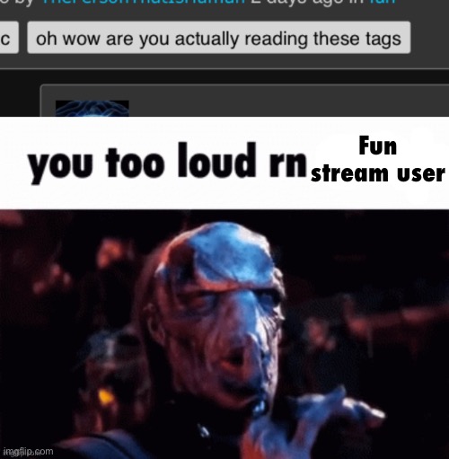 Fun stream user | image tagged in you too loud rn | made w/ Imgflip meme maker