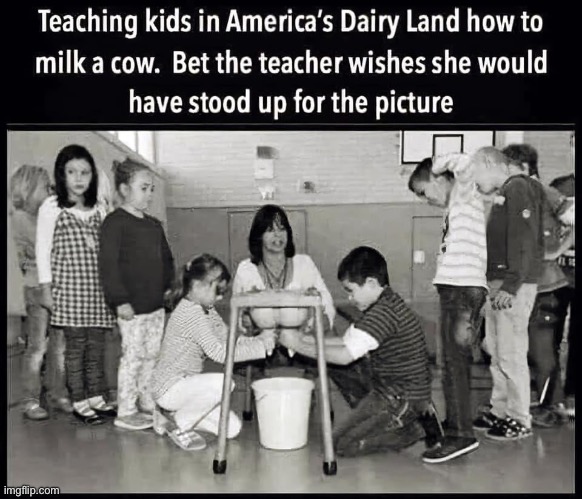 School field trips | image tagged in school,class,learning,dairy,cow,milk | made w/ Imgflip meme maker