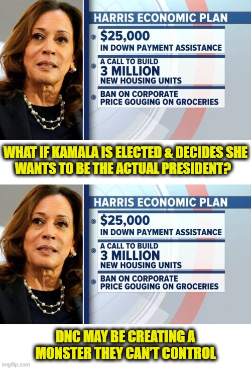 Commie gone wild | WHAT IF KAMALA IS ELECTED & DECIDES SHE
WANTS TO BE THE ACTUAL PRESIDENT? DNC MAY BE CREATING A
MONSTER THEY CAN’T CONTROL | image tagged in kamala harris | made w/ Imgflip meme maker