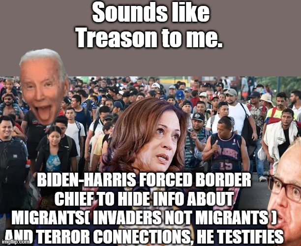 Sounds like Treason to me. BIDEN-HARRIS FORCED BORDER CHIEF TO HIDE INFO ABOUT MIGRANTS( INVADERS NOT MIGRANTS ) AND TERROR CONNECTIONS, HE TESTIFIES | made w/ Imgflip meme maker