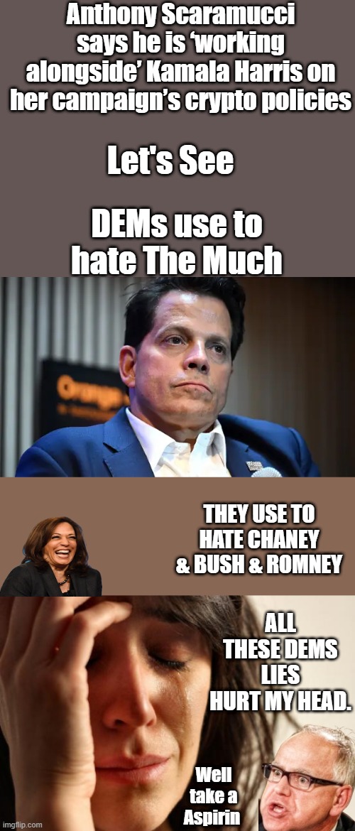 Anthony Scaramucci says he is ‘working alongside’ Kamala Harris on her campaign’s crypto policies; Let's See; DEMs use to hate The Much; THEY USE TO HATE CHANEY & BUSH & ROMNEY; ALL THESE DEMS LIES HURT MY HEAD. Well take a Aspirin | image tagged in memes,first world problems | made w/ Imgflip meme maker