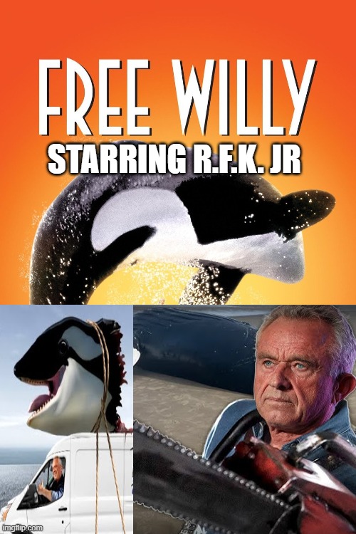 If R.F.K Jr. was in Free Willy | STARRING R.F.K. JR | image tagged in robert f kennedy,rfk,free willy,whales head,chainsaw | made w/ Imgflip meme maker